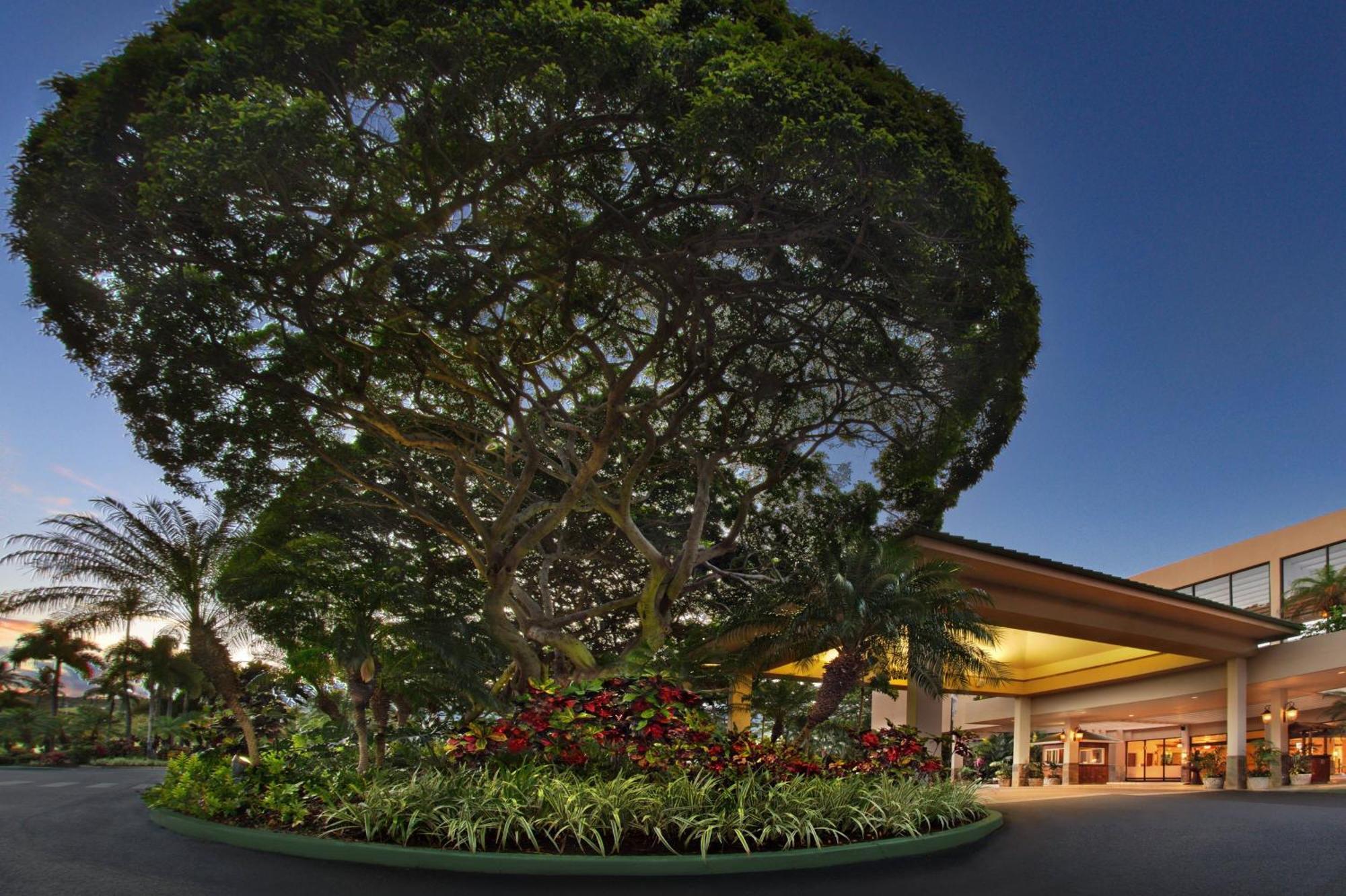 Отель Marriott'S Maui Ocean Club - Molokai, Maui & Lanai Towers Лахайна Экстерьер фото