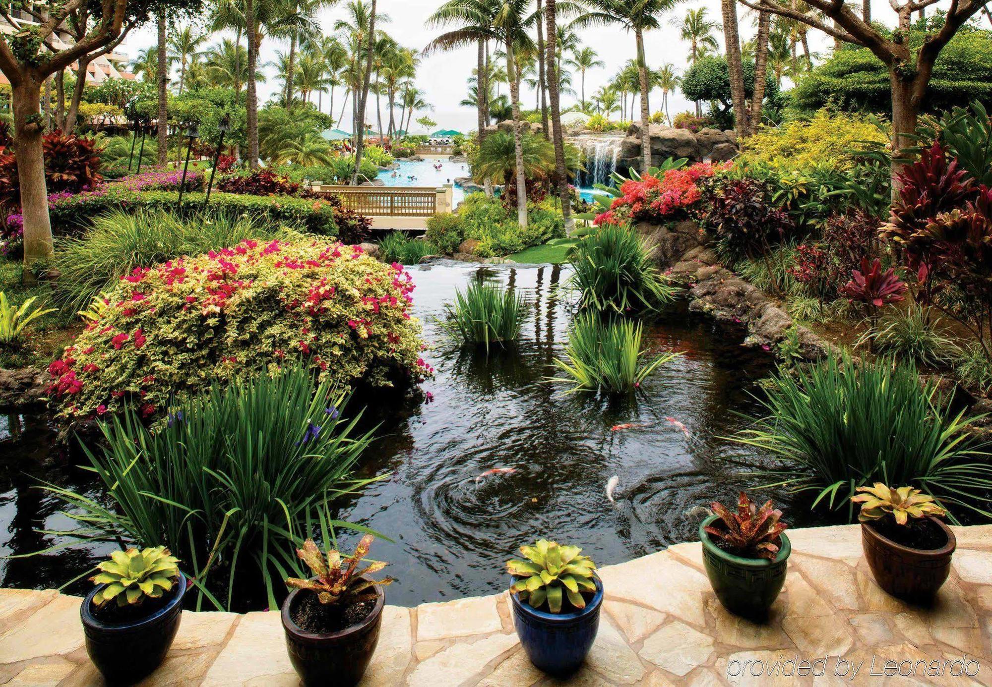 Отель Marriott'S Maui Ocean Club - Molokai, Maui & Lanai Towers Лахайна Экстерьер фото